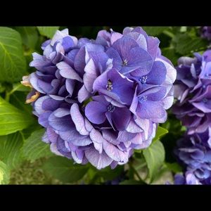 Meet your Posher, Kianna